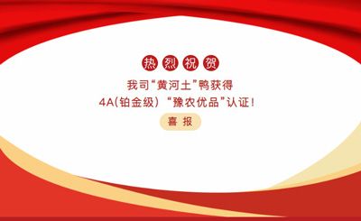 【喜報(bào)】—我司黃河土鴨獲4A(鉑金級(jí)）“豫農(nóng)優(yōu)品”認(rèn)證！